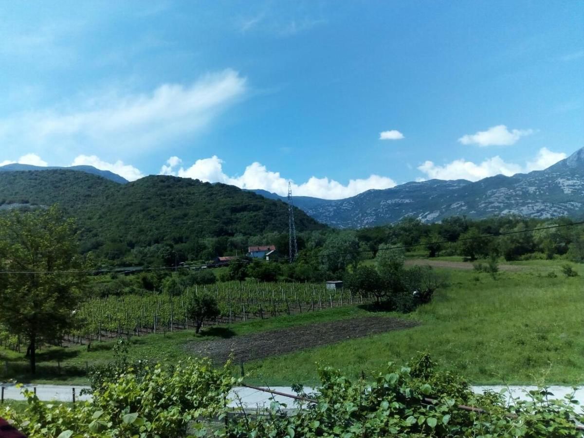 Загородные дома Studio and winery Kalimut Вирпазар-32