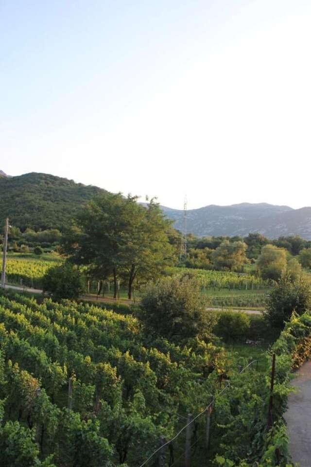Загородные дома Studio and winery Kalimut Вирпазар-13