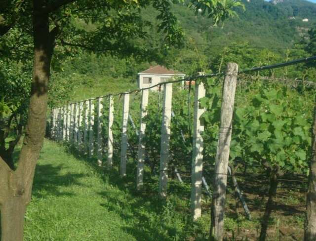 Загородные дома Studio and winery Kalimut Вирпазар-32