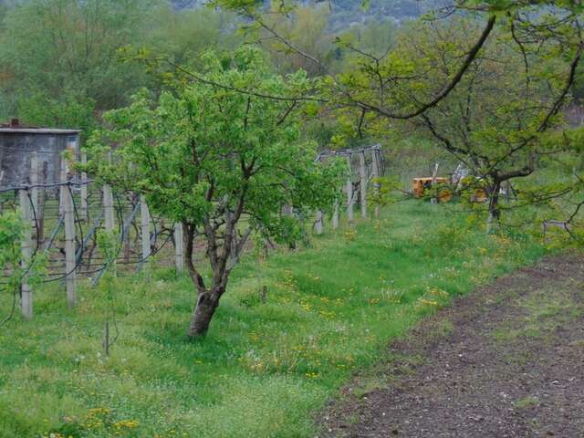 Загородные дома Studio and winery Kalimut Вирпазар-33